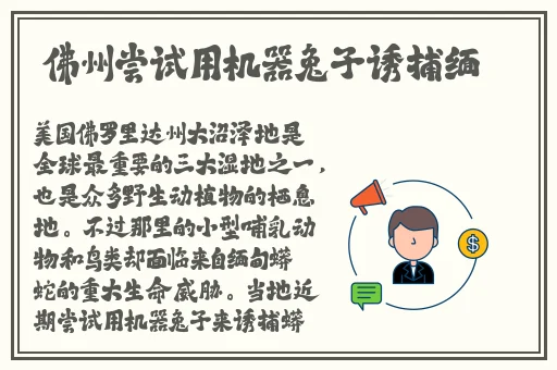 妃鱼黄播怎么看入口